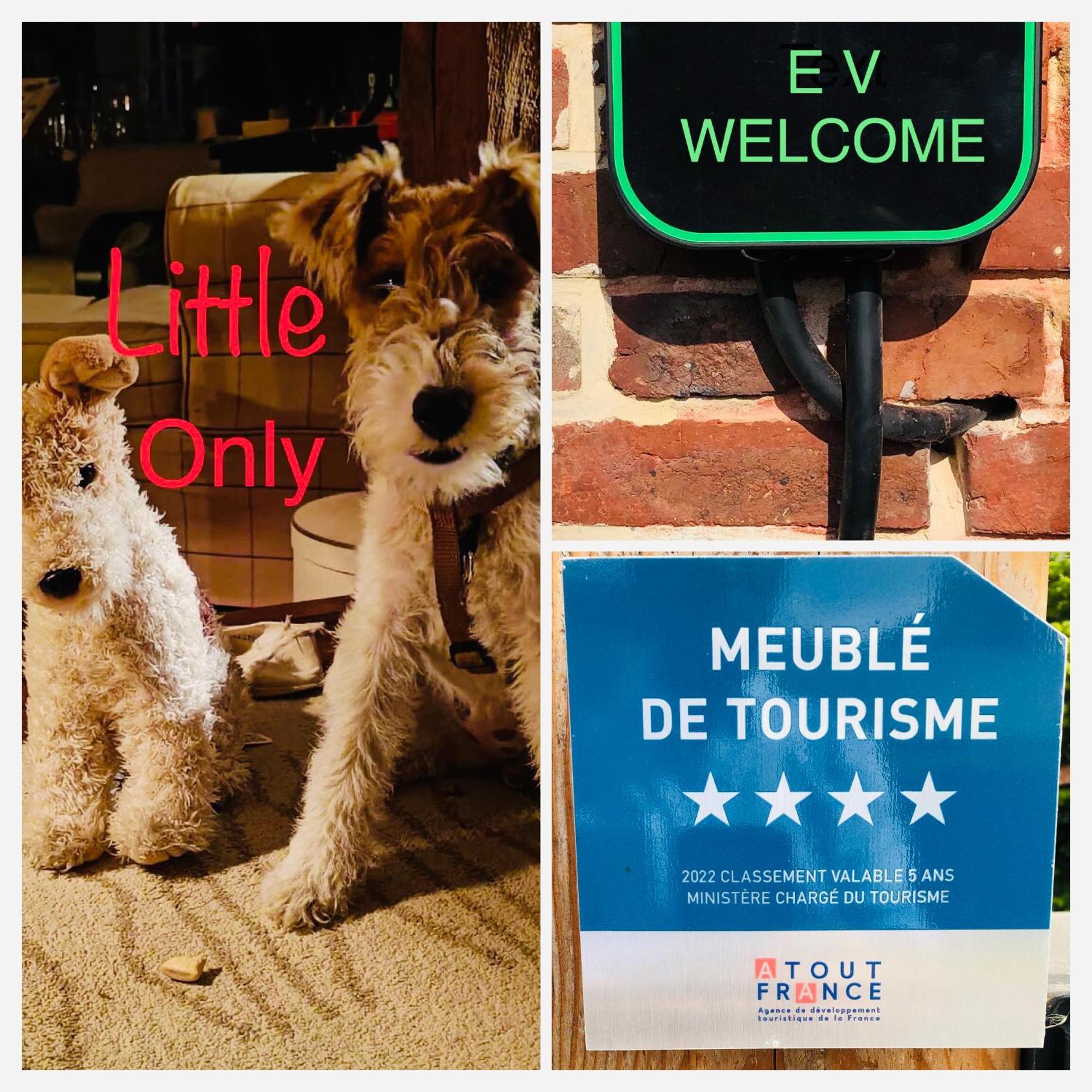 Rouge Cottage Gite 4 Etoiles Billard Gueutteville-les-Gres Ngoại thất bức ảnh